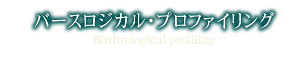 バースロジカル・プロファイリング